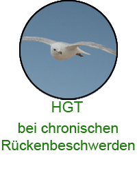 bei chronischen Rückenbeschwerden