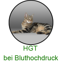bei Bluthochdruck